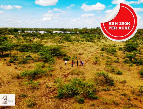 1 Acre Land For Sale in Rumuruti (39 Parcels)