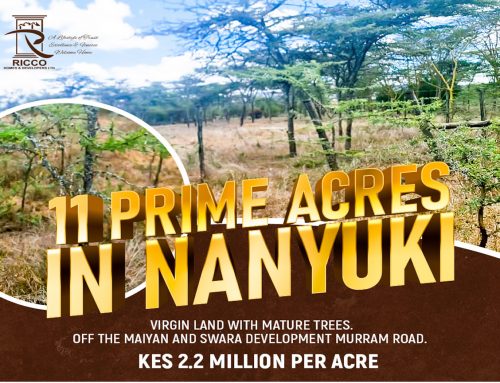 Prime Land For Sale in Nanyuki – 11 Acres