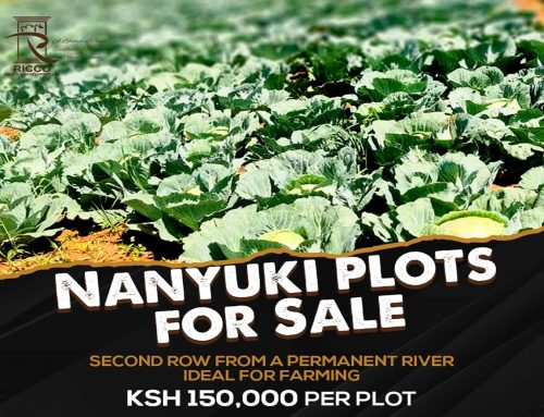 Prime Plots For Sale in Nanyuki
