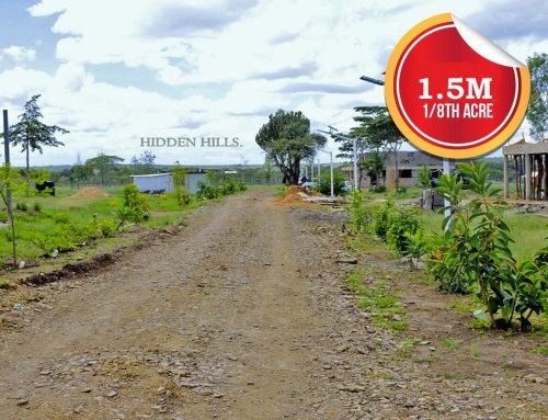 Hidden Hills Woodlands – 1/8 acre plots for sale in Nanyuki